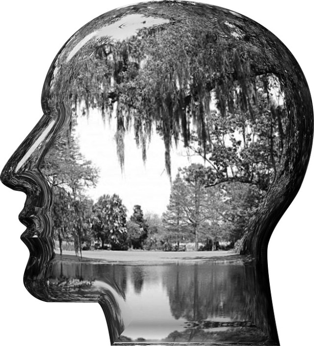 head-1745244_960_720