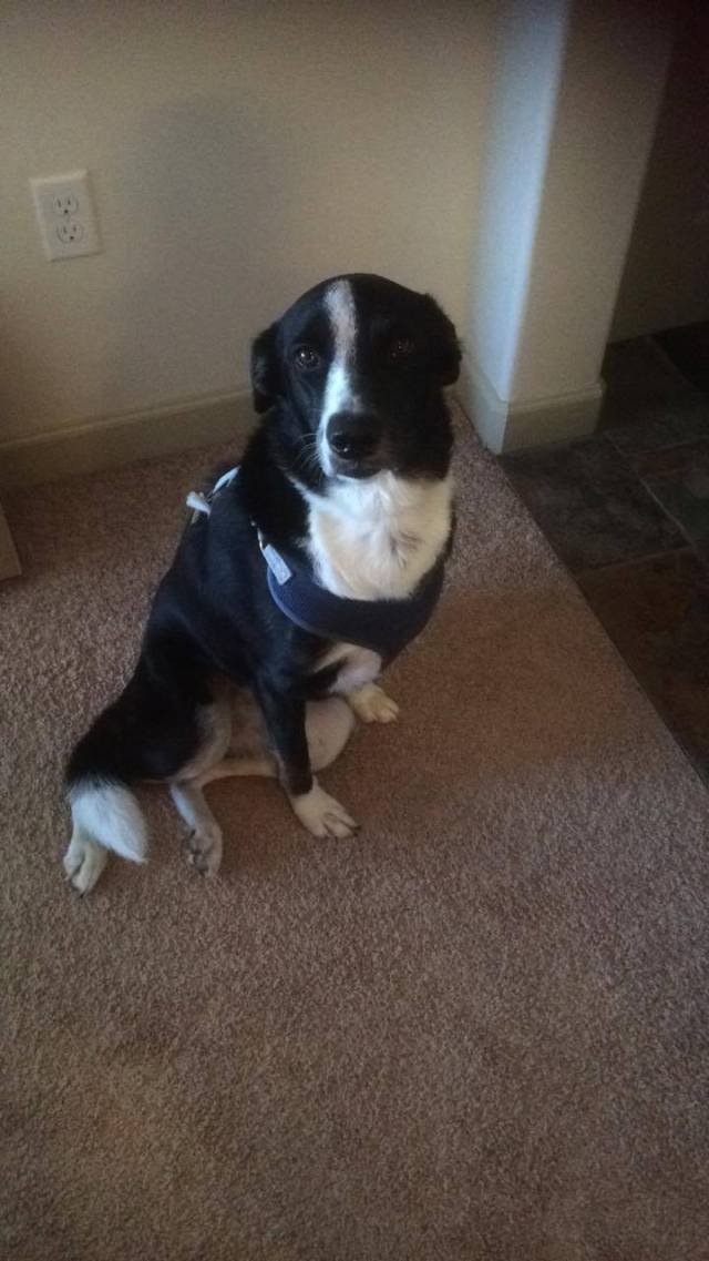 14139428_835812948511_1053922270_o