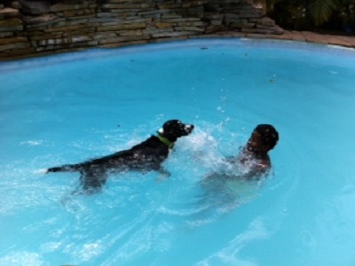 lilly swimming with francisca